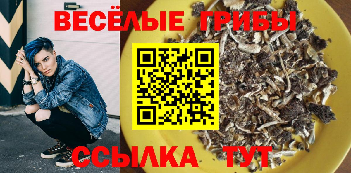 Галлюциногенные грибы прущие грибы Каменск-Уральский